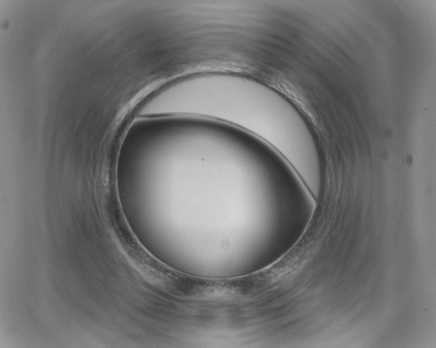 X0000066950348200603240916