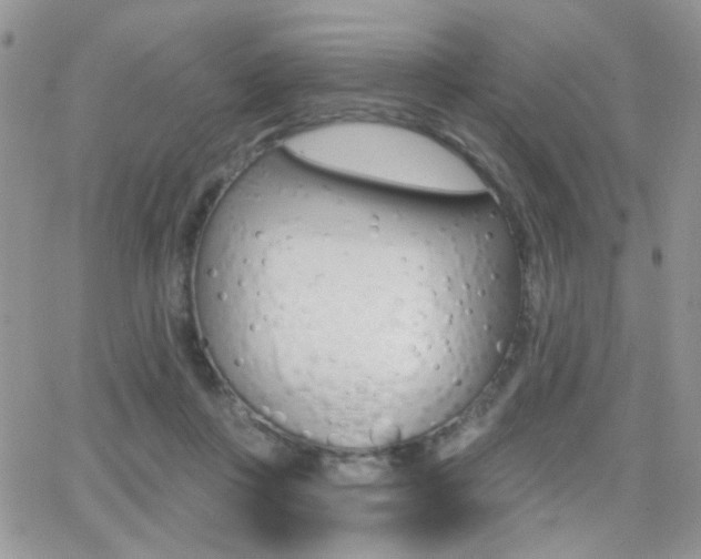 X0000066950359200603240916