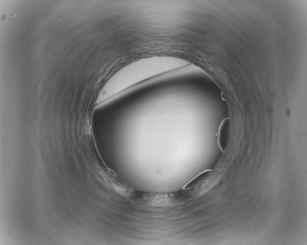 X0000066950384200603240916