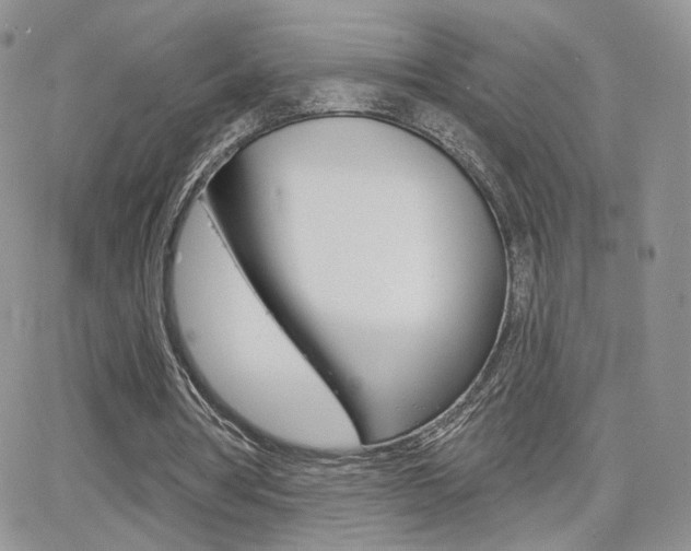 X0000066950386200603240916