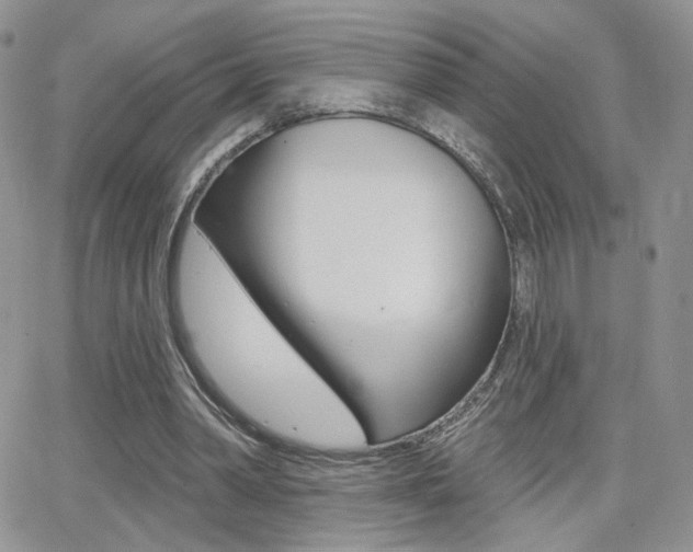 X0000066950390200603240916