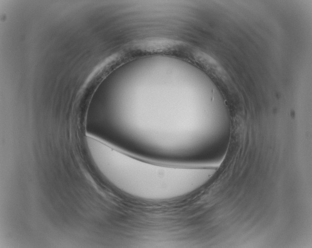 X0000066950400200603240915