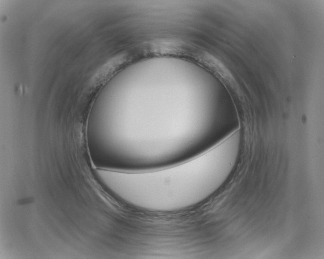 X0000066950401200603240915