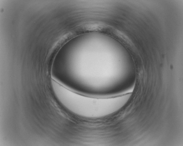 X0000066950407200603240915