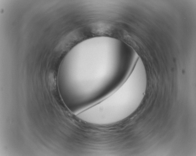 X0000066950420200603240915