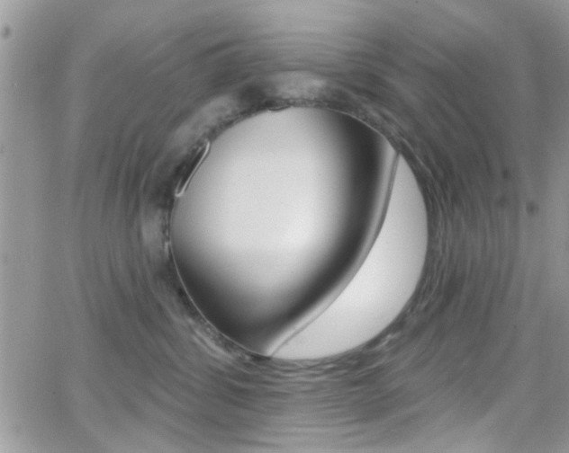 X0000066950428200603240915