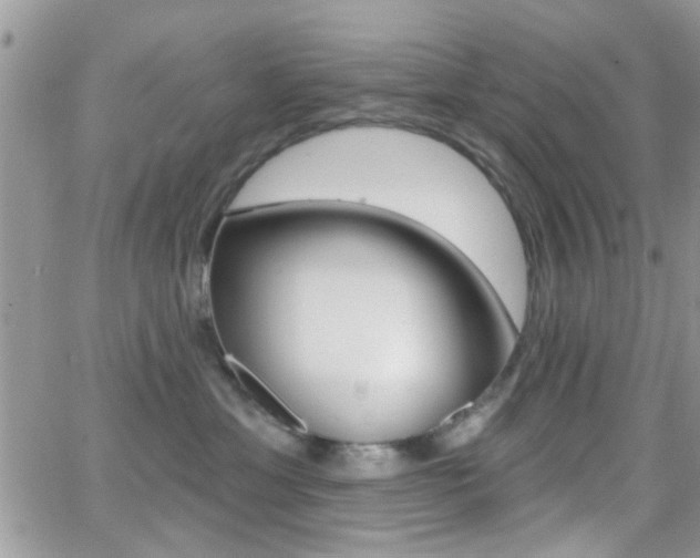X0000066950429200603240915