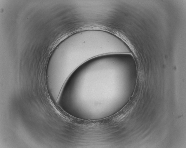 X0000066950433200603240914