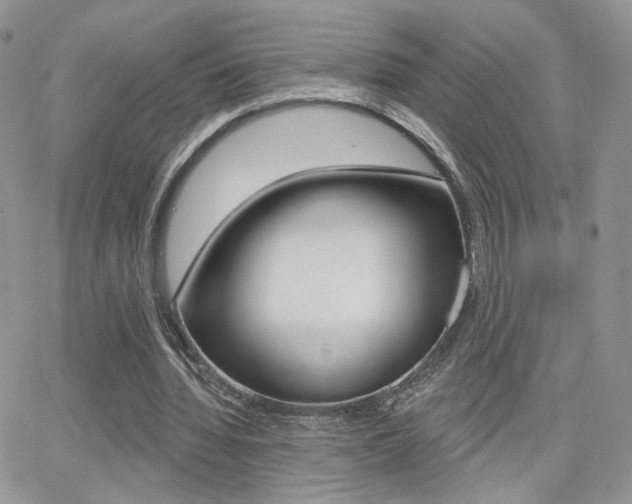 X0000066950436200603240914