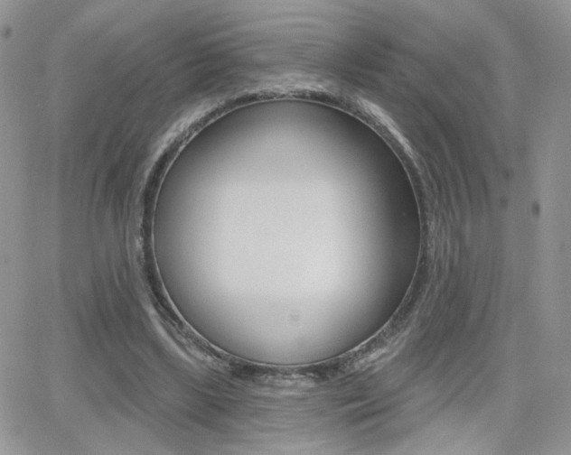 X0000066950443200603240914