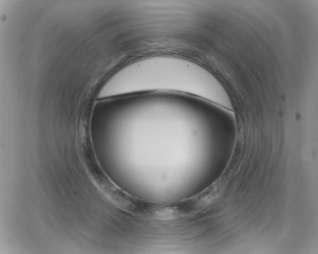 X0000066950456200603240914