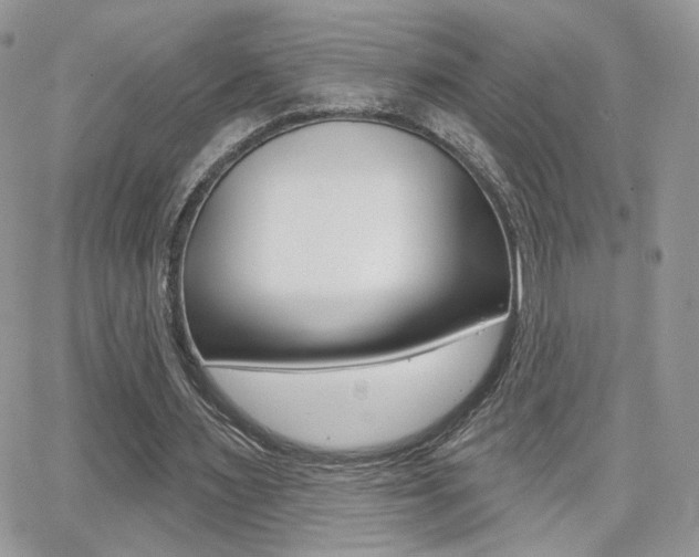 X0000066950483200603240914