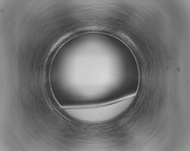 X0000066950484200603240914