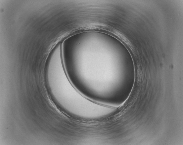 X0000066950485200603240914