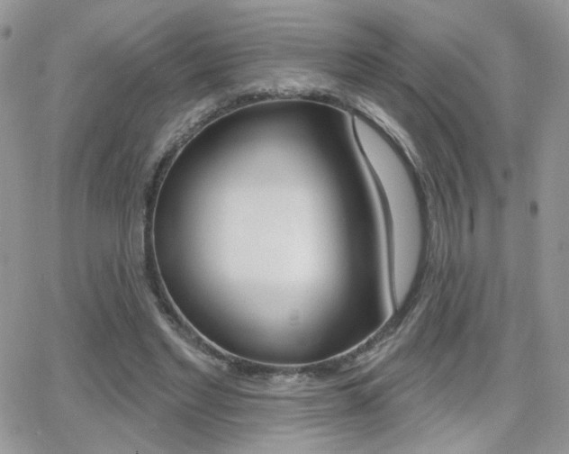 X0000066950493200603240914