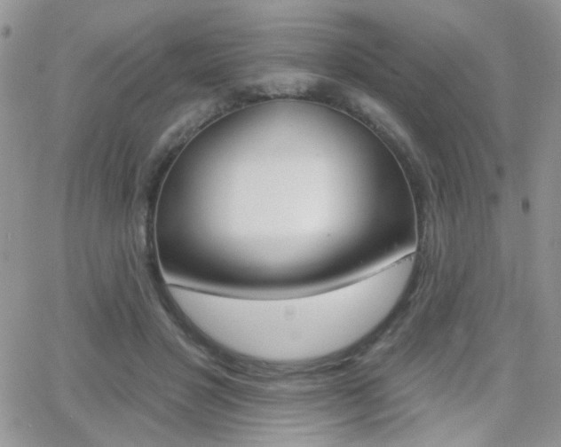 X0000066950501200603240914