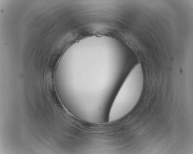 X0000066950506200603240914
