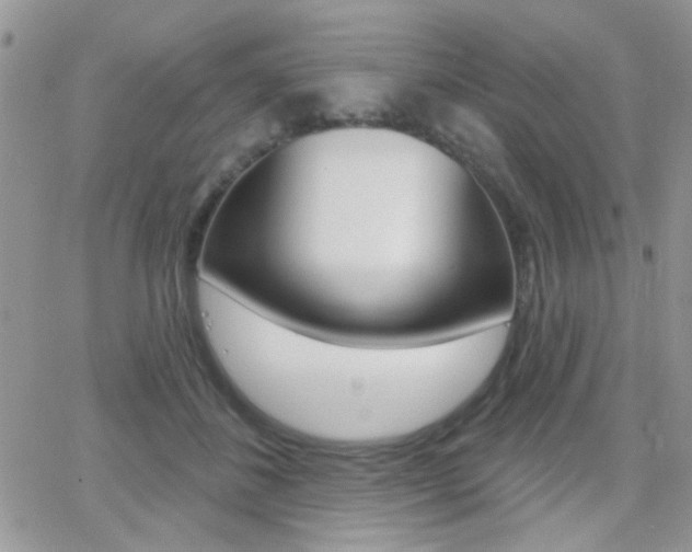 X0000066950508200603240914