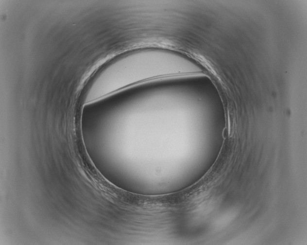 X0000066950531200603240913