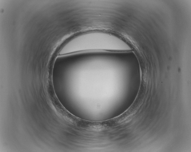 X0000066950540200603240913