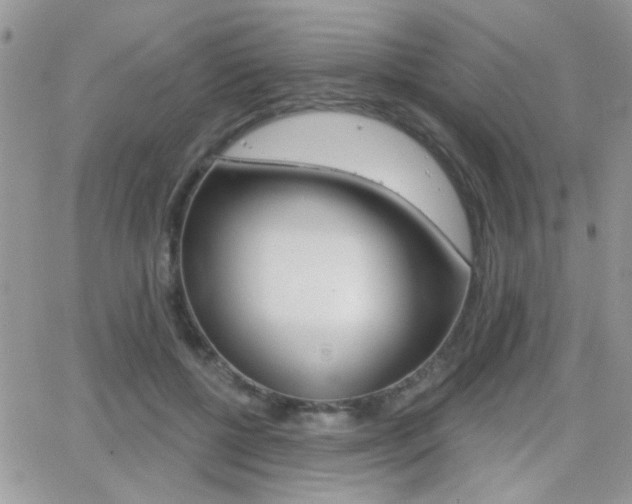 X0000066950552200603240913