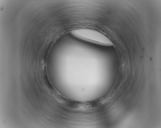 X0000066950555200603240913