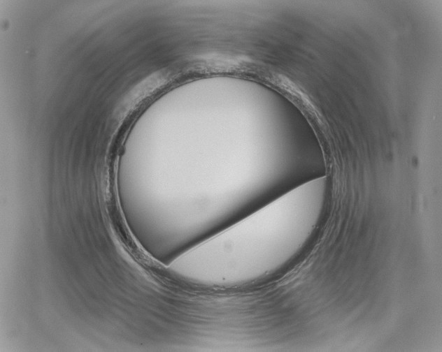 X0000066950582200603240912