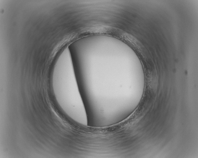 X0000066950586200603240912