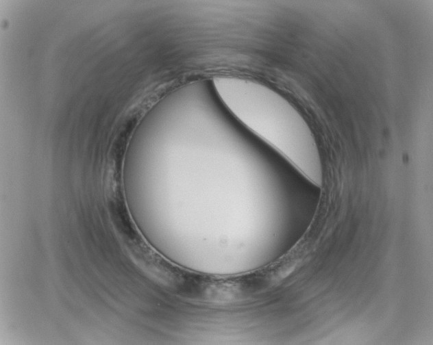 X0000066950599200603240912
