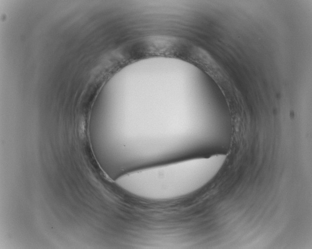 X0000066950602200603240912