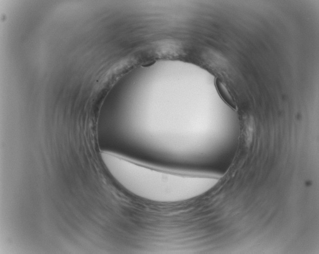 X0000066950619200603240912