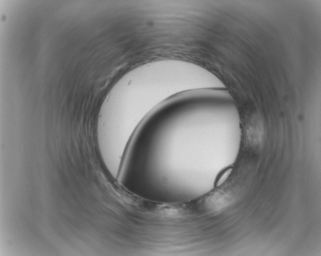 X0000066950620200603240912