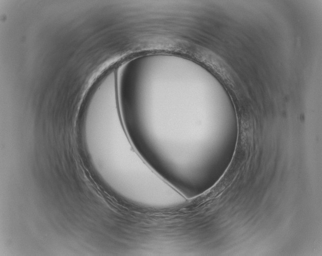 X0000066950628200603240911