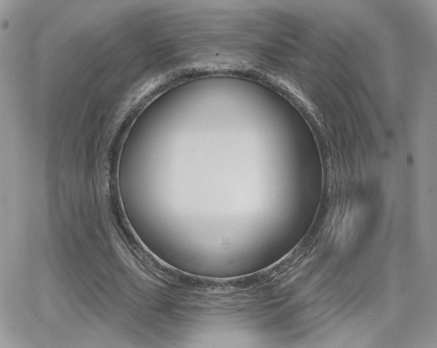 X0000066950631200603240911