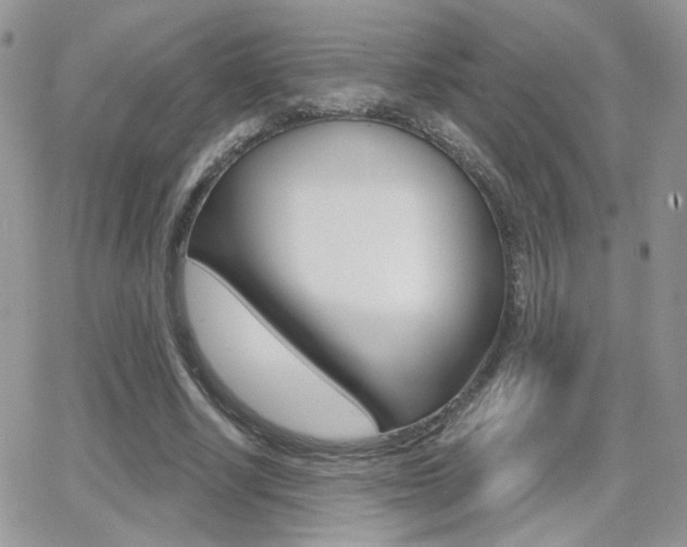 X0000066950634200603240911
