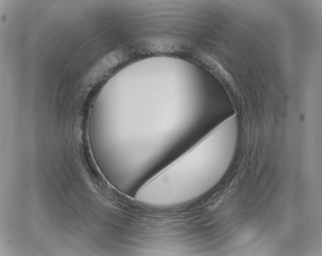 X0000066950635200603240911