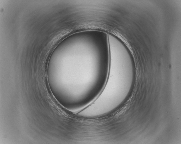 X0000066950673200603240911