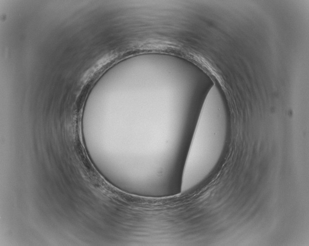 X0000066950675200603240911