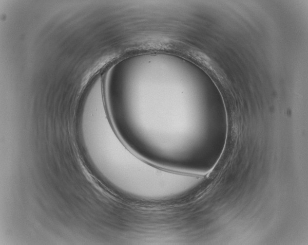 X0000066950677200603240911