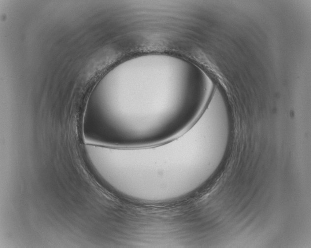 X0000066950681200603240911
