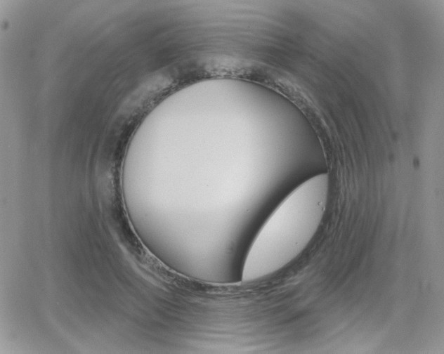 X0000066950690200603240911