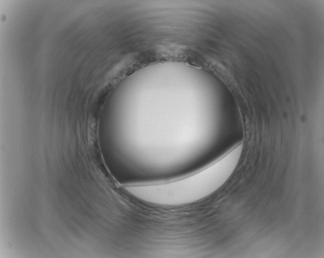 X0000066950712200603240910