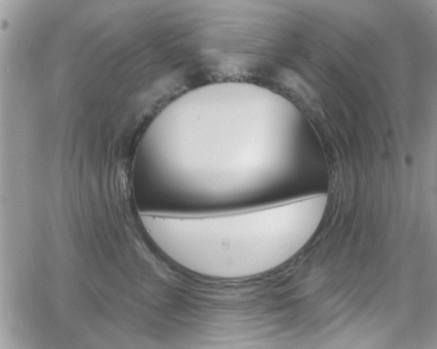 X0000066950715200603240910