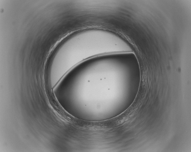 X0000066950722200603240909