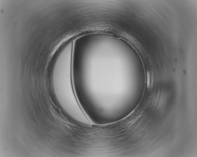 X0000066950723200603240909