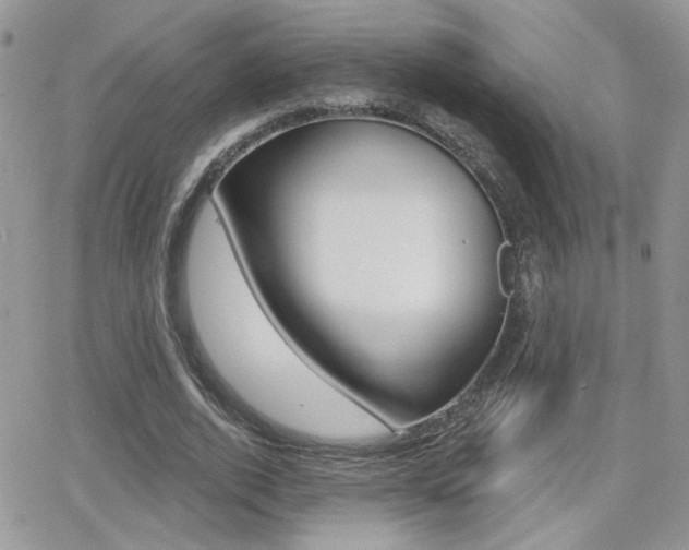 X0000066950728200603240910