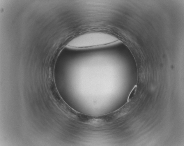 X0000066950748200603240910