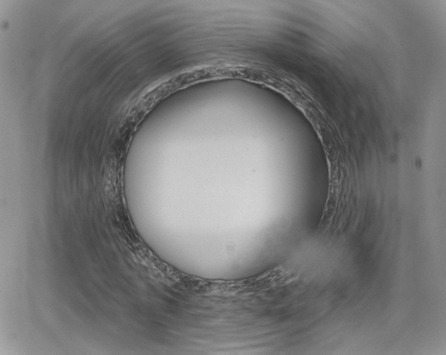 X0000066950773200603240909