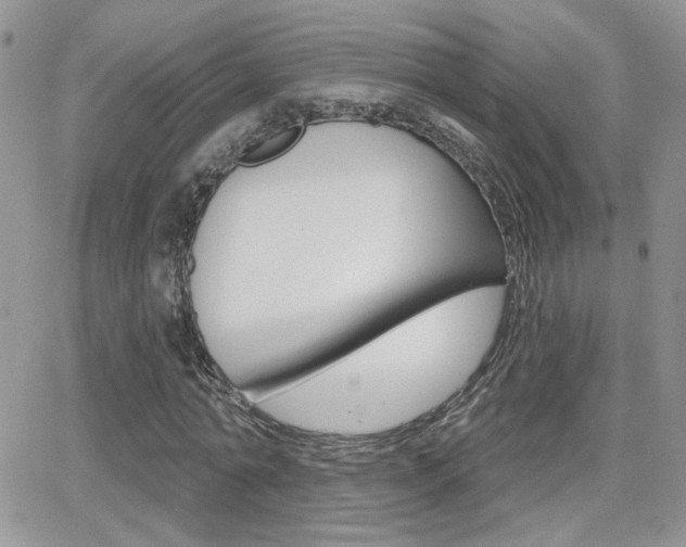 X0000066950774200603240909