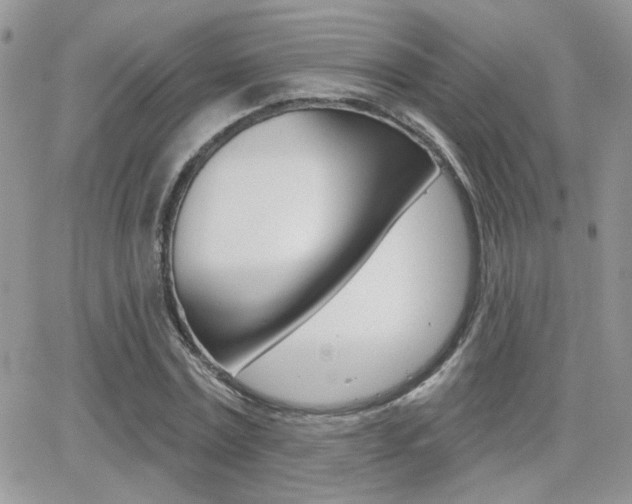 X0000066950779200603240909